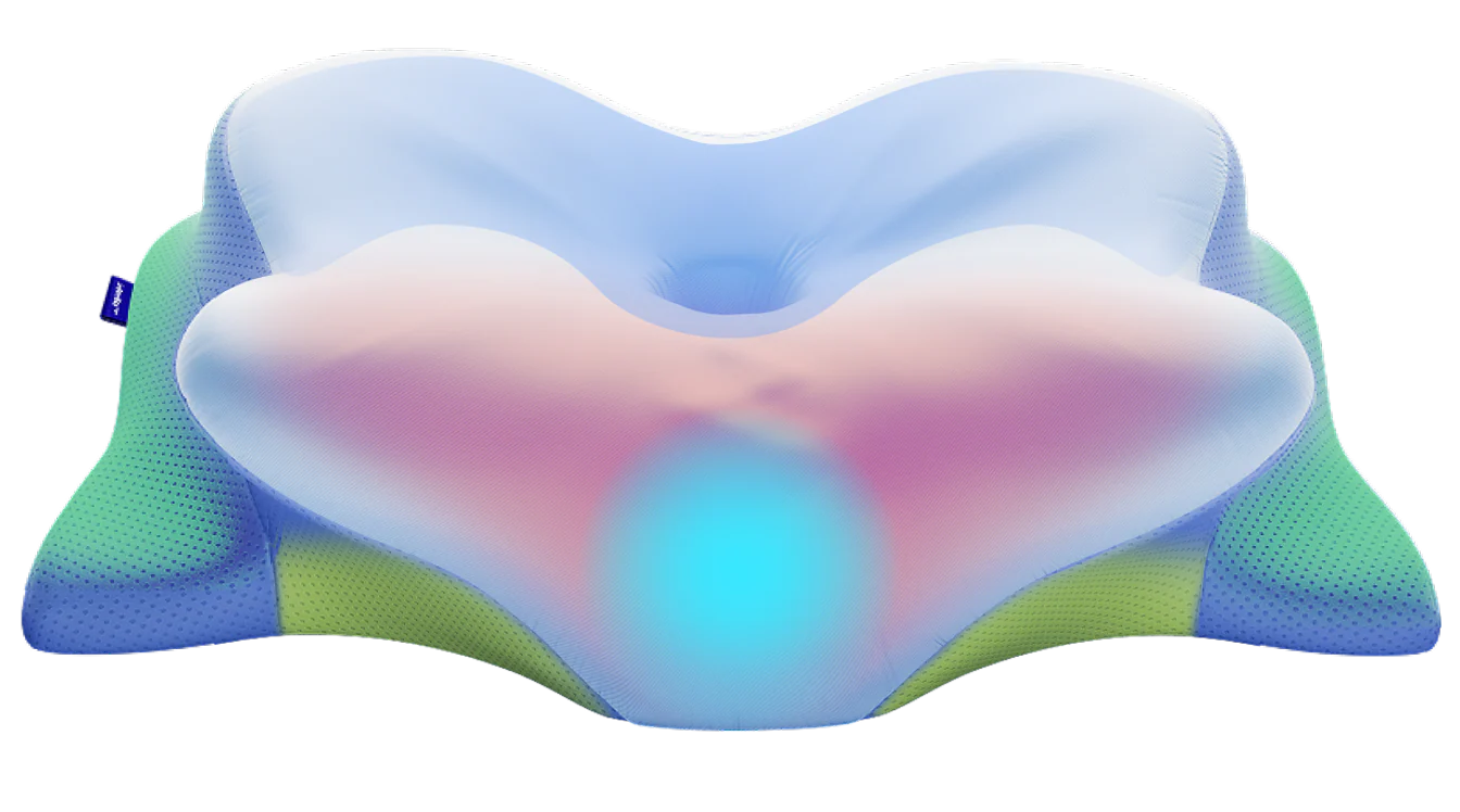 derila pillow buy